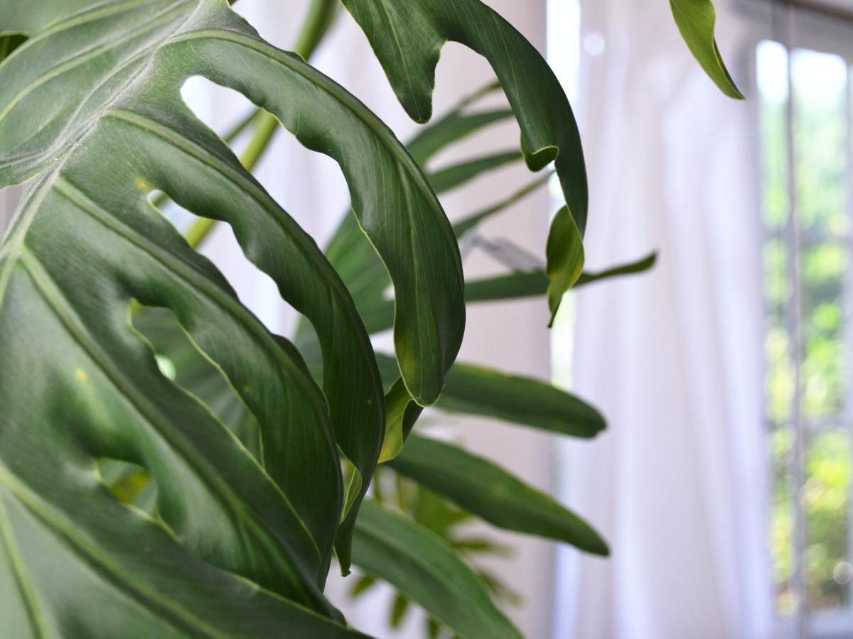 8: Consolidation (Subq. to Acq Date) Part&nbsp;IV